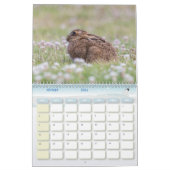 Hasenkalender, Calendar Rabbit Hares Kalender (Feb 2026)