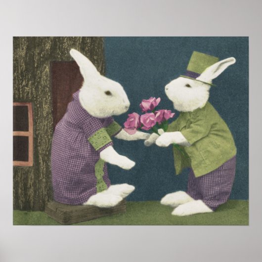 Hasenliebe Poster (Vorne)