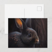 Hasenpostkarten Postkarte (Vorne/Hinten)