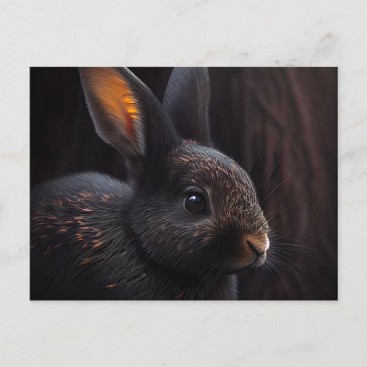 Hasenpostkarten Postkarte (Vorderseite)
