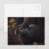 Hasenpostkarten Postkarte (Vorne/Hinten)