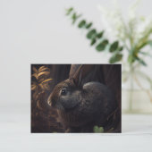 Hasenpostkarten Postkarte (Stehend Vorderseite)