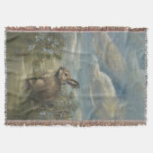 Hasenstraße Decke (Vorderseite)