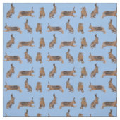 Hasenwahn-Stoff (Hellblau) Stoff (Muster)