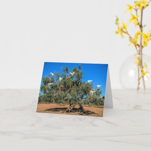 Hasenziegen in Bäumen Karte (Gelbe Blume)