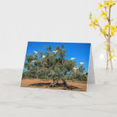 Hasenziegen in Bäumen Karte (Gelbe Blume)