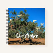 Hasenziegen in Bäumen Marokko Personalisierter Nam Notizblock (Vorderseite)