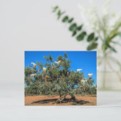 Hasenziegen in Bäumen Postkarte (Stehend Vorderseite)