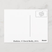 Hashiite Postkarte (Rückseite)