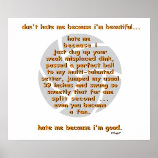 Hass mich nicht VOLLEYBALL Poster