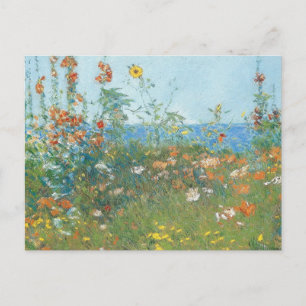Hassams "Poppies, Isle of Shoals" - Postkarte