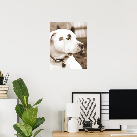 Hassbottich Sepia Hassakt nicht züchten Poster (Heimbüro)