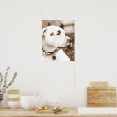 Hassbottich Sepia Hassakt nicht züchten Poster (Küche)