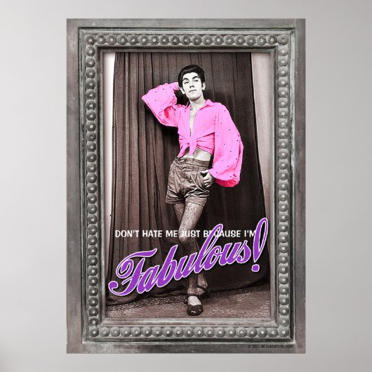 Hasse mich nicht, nur weil ich ein fabelhaftes [Po Poster (Vorne)