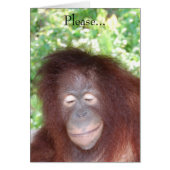 Hasse mich nicht, weil ich schön bin (Vorne)