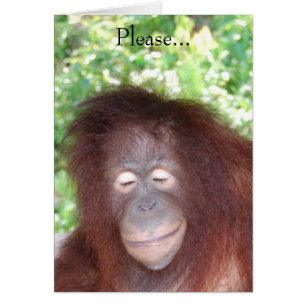 Hasse mich nicht, weil ich schön bin