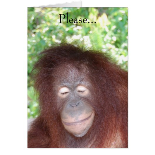 Hasse mich nicht, weil ich schön bin (Vorne)