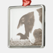 hassen die Tat nicht die Rasse freundlichen Pitbul Ornament Aus Metall (Links)