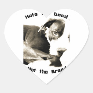 hassen die Tat nicht die Rasse Pillen Herz-Aufkleber