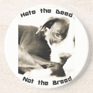 hassen die Tat nicht die Rasse Pillen Sandstein Untersetzer