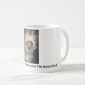 Hassen Sie mich nicht, weil ich schön bin! - Tasse (VorderseiteRechts)