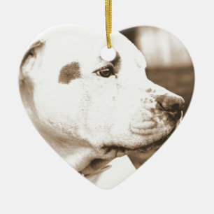 Hassfest-Hundehass-Hass-Hundeschöpsel nicht züchte Keramikornament
