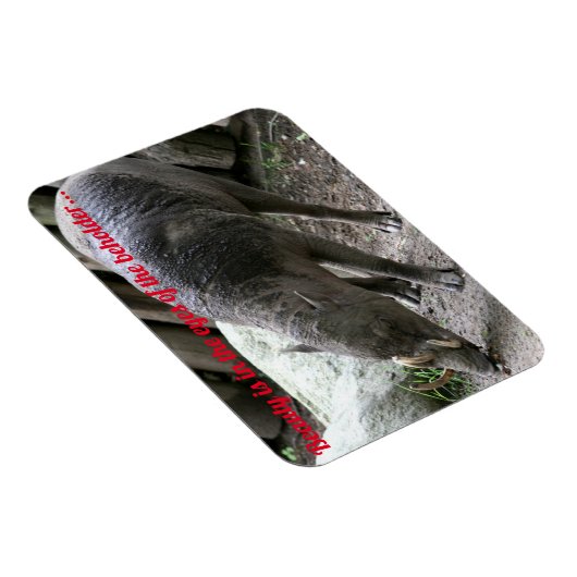 hässliche Tiere, Babirusa Magnet (Rechte Seite)