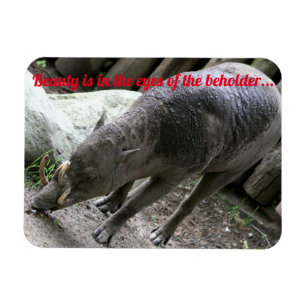 hässliche Tiere, Babirusa Magnet