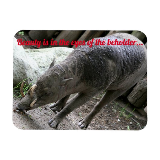 hässliche Tiere, Babirusa Magnet (Horizontal)