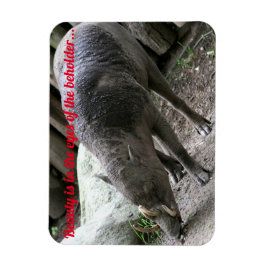 hässliche Tiere, Babirusa Magnet