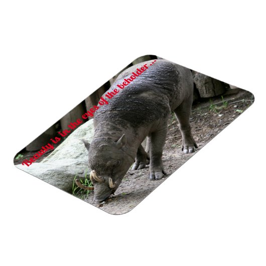 hässliche Tiere, Babirusa Magnet (Linke Seite)