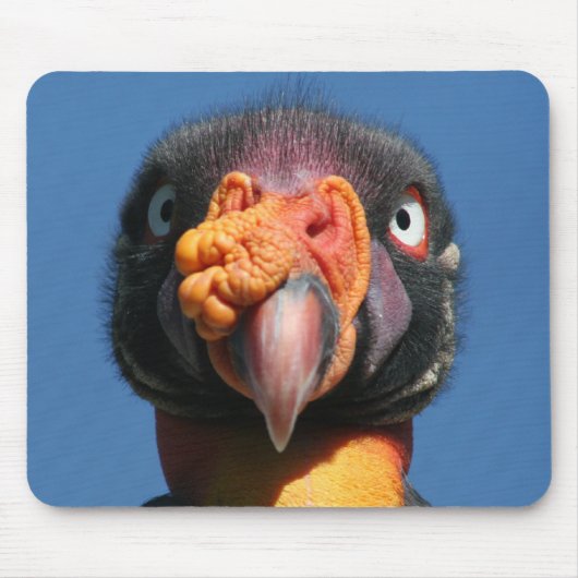 Hässlicher Vogel Mousepad König-Geier (Vorne)