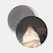 Hässliches Hamster-Meme Magnet (Vorderseite/Rückseite)