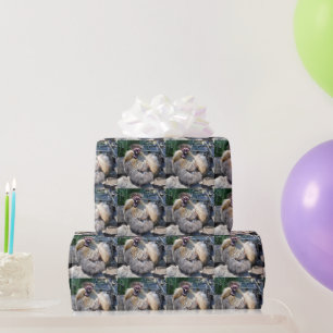 Hässliches Huhn, Geschenkverpackung Geschenkpapier