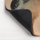 Hässliches Küken Mousepad (Ecke)