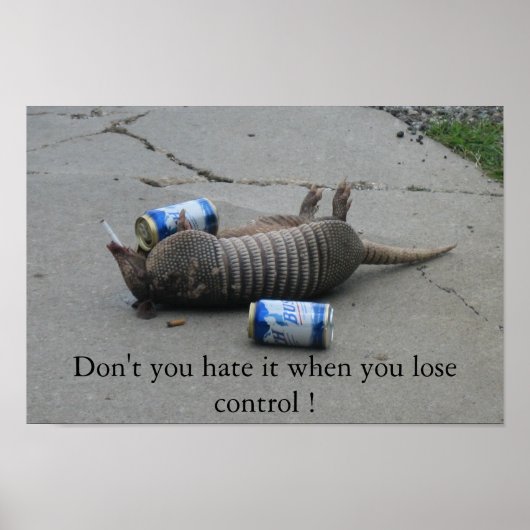 Hasst du es nicht, wenn du die Kontrolle verlierst Poster (Vorne)