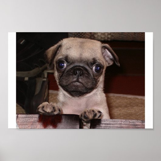 Hast du angerufen? poster (Vorne)