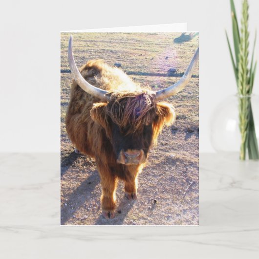 Hast du Bad Hair Day gesagt? Karte (Vorderseite)