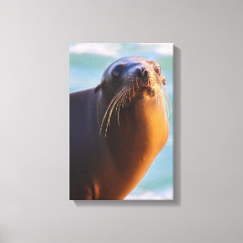 Hast du dich betrogen? leinwanddruck