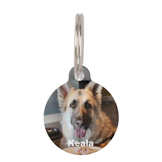 Hast du dir etwas besorgt? haustiermarke (Vorderseite)