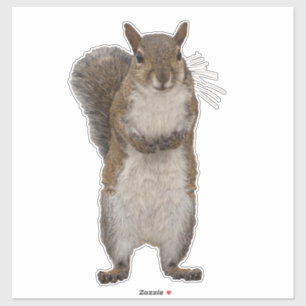 Hast du ein paar Nüsse? Aufkleber