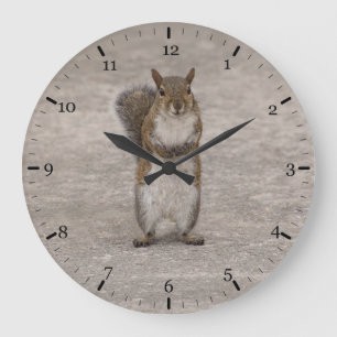 Hast du ein paar Nüsse? Große Wanduhr