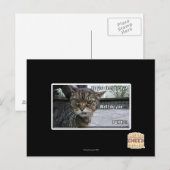 Hast du Glück? Postkarte (Vorne/Hinten)