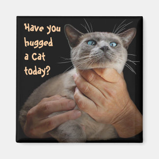 Hast du heute eine Katze umarmt? Magnet