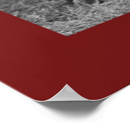 Hast du heute losgelassen? poster (Ecke)