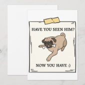 Hast du Hunde jetzt Gewollt? Einladung (Vorne/Hinten)