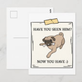 Hast du Hunde jetzt Gewollt? Postkarte (Vorne/Hinten)