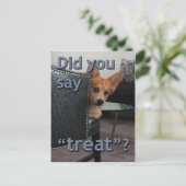 "Hast du 'Leckerei' gesagt?" Corgi Card Postkarte (Stehend Vorderseite)