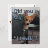 "Hast du 'Leckerei' gesagt?" Corgi Card Postkarte (Vorne/Hinten)
