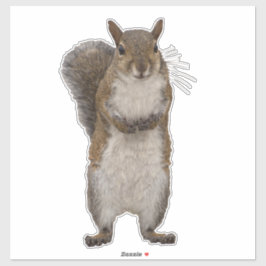 Hast du Nüsse? Aufkleber